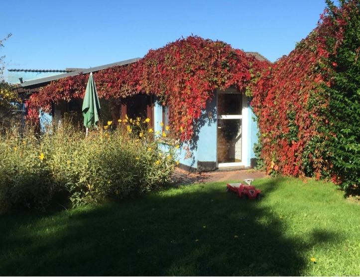 Blaues Haus Neu Reddevitz Villa Lancken-Granitz ภายนอก รูปภาพ
